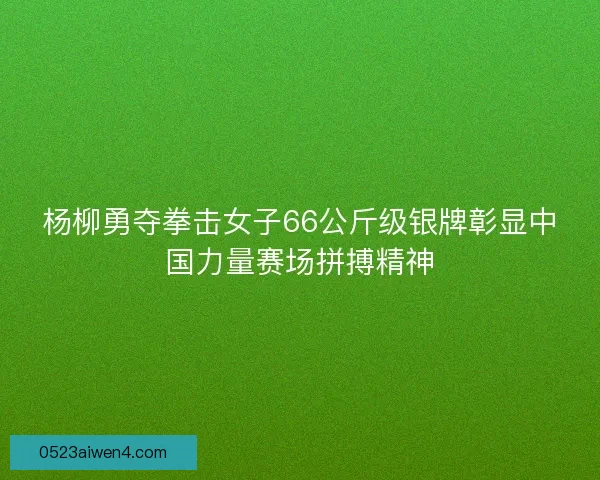 杨柳勇夺拳击女子66公斤级银牌彰显中国力量赛场拼搏精神